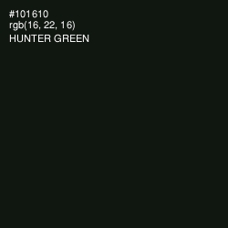 #101610 - Hunter Green Color Image